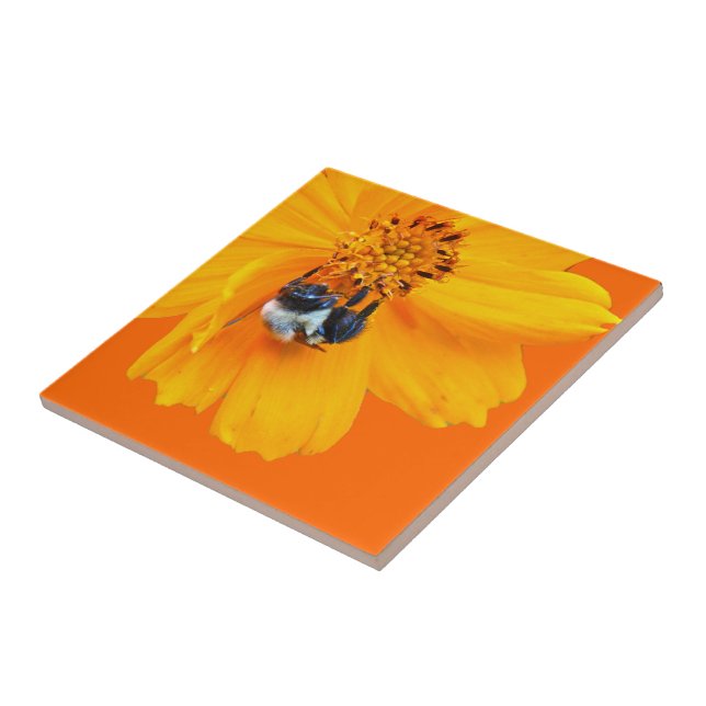 Azulejo De Cerámica Bumblebee en Cosmos (Lado)