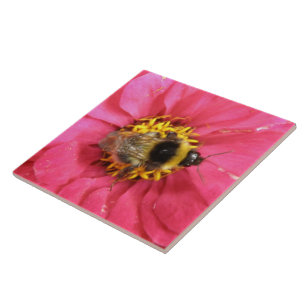 Azulejo De Cerámica Bumblebee Tile