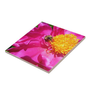 Azulejo De Cerámica Bumblebee y Peony