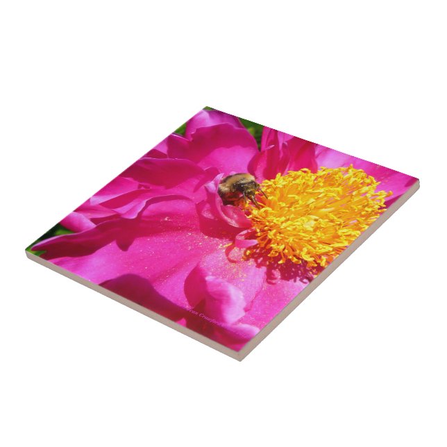 Azulejo De Cerámica Bumblebee y Peony (Lado)