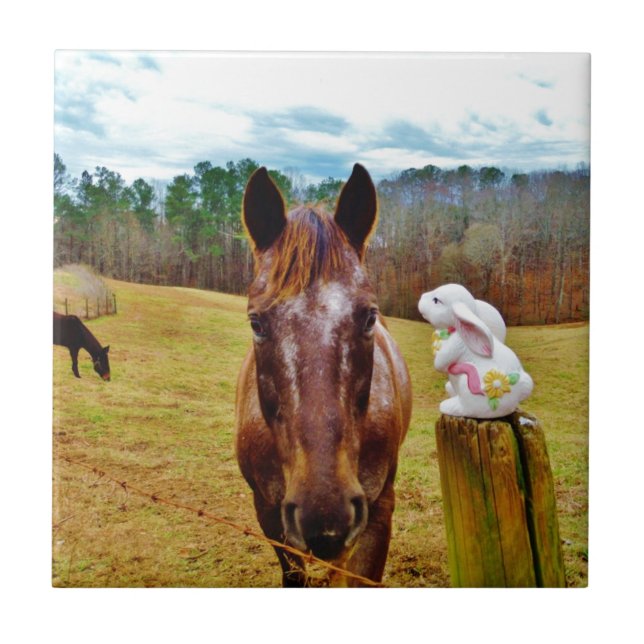 Azulejo De Cerámica Bunny de Pascua y caballo marrón (Frente)