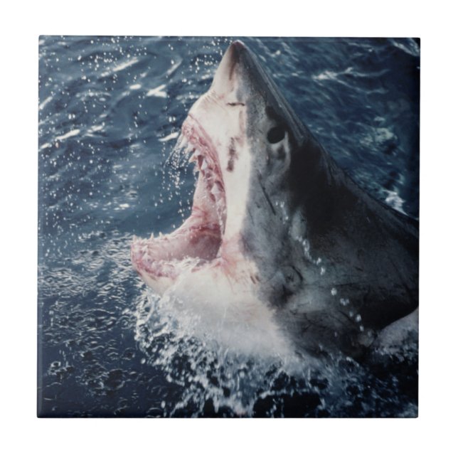 Azulejo De Cerámica Buzón de tiburón elevado abierto (Frente)