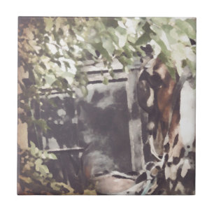 Azulejo De Cerámica Caballo Amish