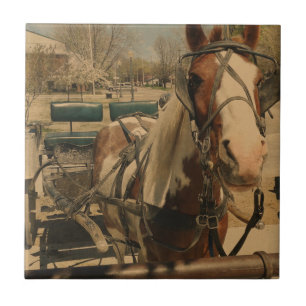Azulejo De Cerámica Caballo Amish, Un Pinto