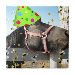 Azulejo De Cerámica Caballo animal fiesta