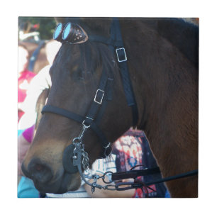 Azulejo De Cerámica Caballo árabe marrón oscuro con gafas