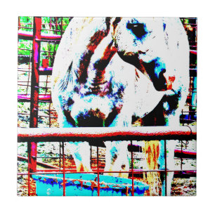 Azulejo De Cerámica Caballo blanco