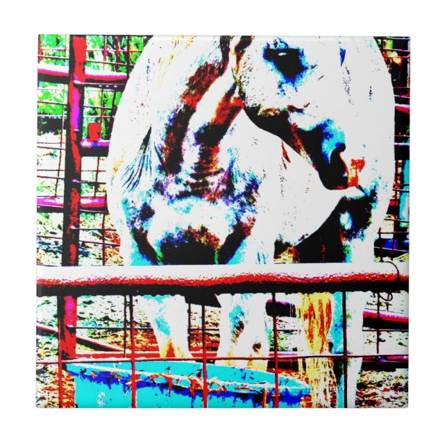 Azulejo De Cerámica Caballo blanco (Frente)