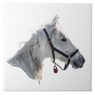 Azulejo De Cerámica Caballo blanco