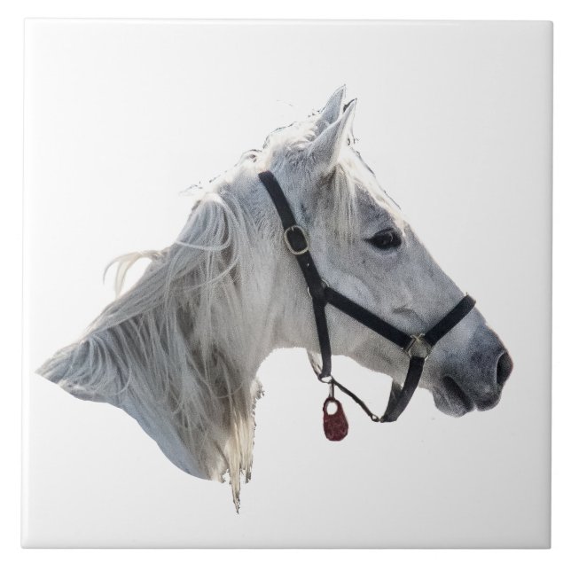 Azulejo De Cerámica Caballo blanco (Frente)