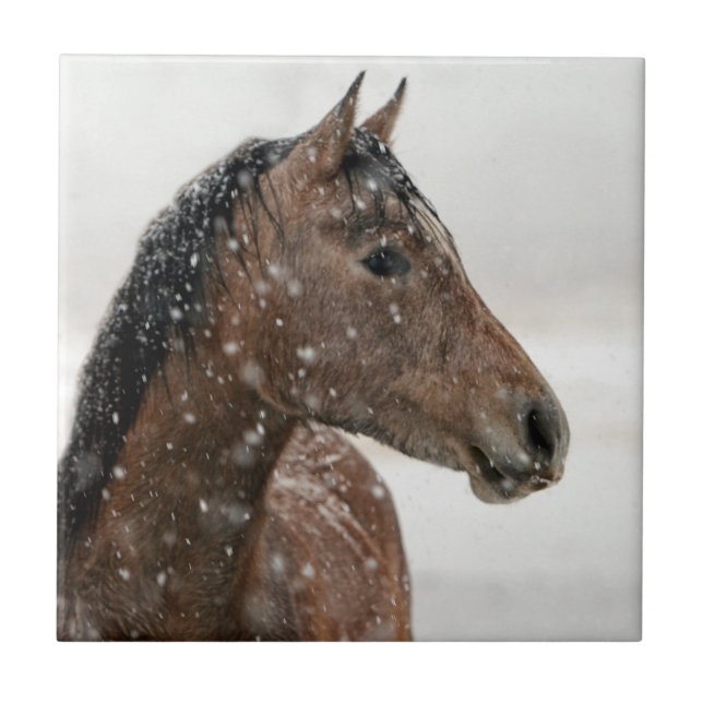 Azulejo De Cerámica Caballo de Bahía en suave caída de nieve (Frente)