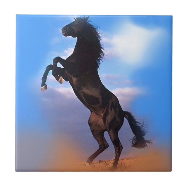 Azulejo De Cerámica Caballo de cría (Frente)