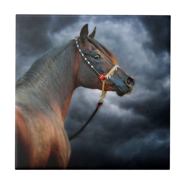 Azulejo De Cerámica Caballo de la noche (Frente)