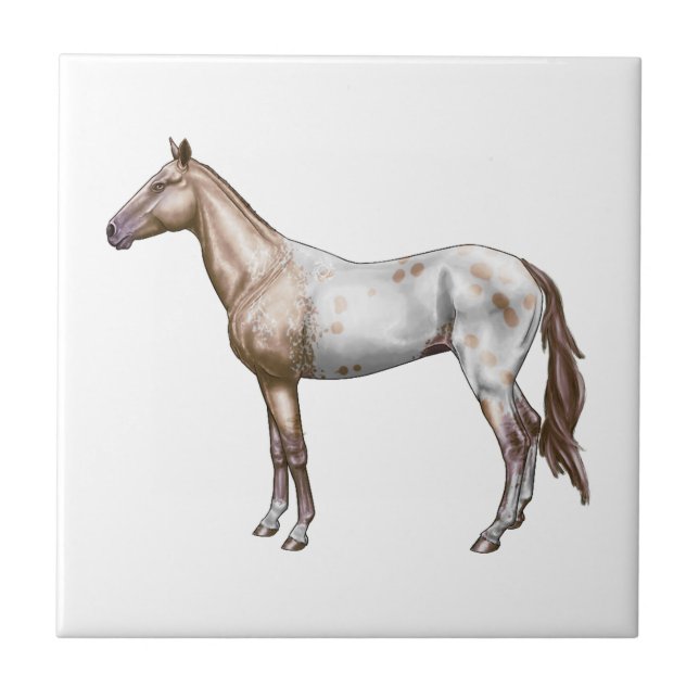 Azulejo De Cerámica Caballo de Nez Perce (Frente)