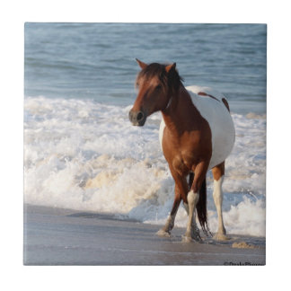 Azulejo De Cerámica Caballo de playa Sunset