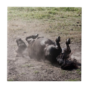 Azulejo De Cerámica Caballo del balanceo