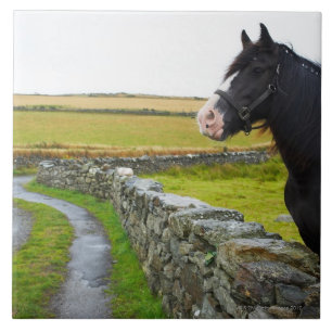 Azulejo De Cerámica Caballo en granja en Inglaterra rural