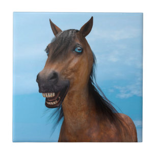 Azulejo De Cerámica Caballo feliz