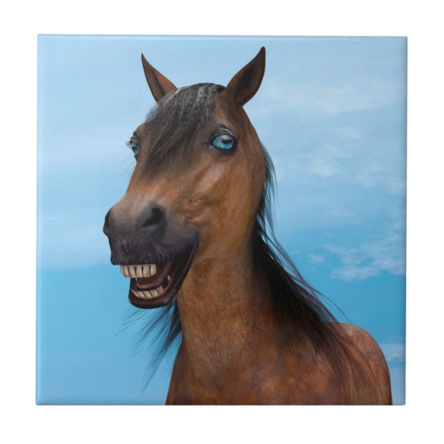 Azulejo De Cerámica Caballo feliz (Frente)