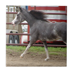 Azulejo De Cerámica Caballo Miniatura en Clase de Libertad