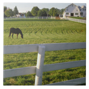 Azulejo De Cerámica Caballo que pasta en granja