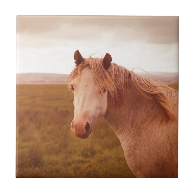 Azulejo De Cerámica Caballo salvaje vintage (Frente)
