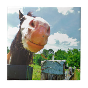 Azulejo De Cerámica Caballo sonriente