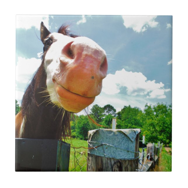 Azulejo De Cerámica Caballo sonriente (Frente)