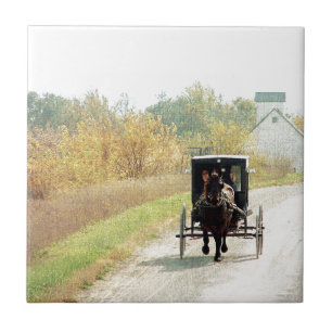 Azulejo De Cerámica Caballo y buggy Amish de otoño