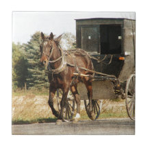Caballo y cochecillo de Amish