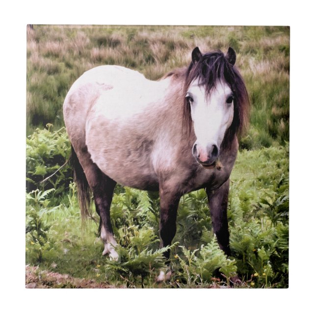 AZULEJO DE CERÁMICA CABALLOS (Frente)