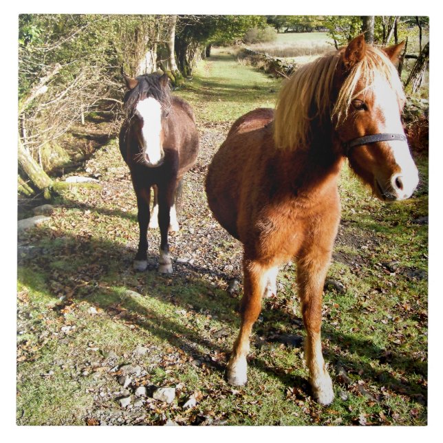 AZULEJO DE CERÁMICA CABALLOS (Frente)