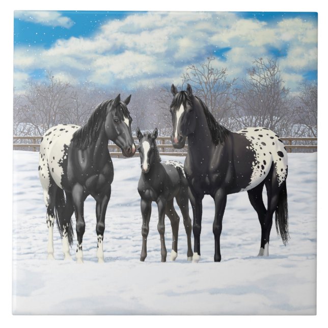 Azulejo De Cerámica Caballos Appaloosa Negros En Nieve (Frente)