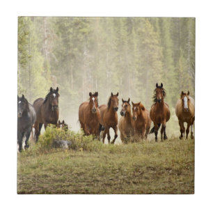 Azulejo De Cerámica Caballos creyendo una pequeña colina durante el re
