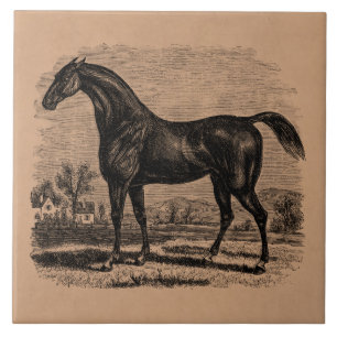 Azulejo De Cerámica Caballos excelentes retros del caballo de raza de