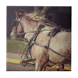 Azulejo De Cerámica Caballos hermosos