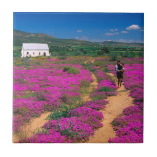 Azulejo De Cerámica Cabaña, flores y niña, cerca de Kamieskroon
