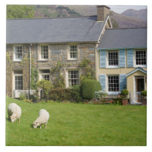 Azulejo De Cerámica Cabañas, Beddgelert, Gwynedd, Gales