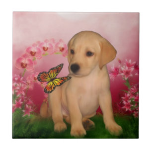 Azulejo De Cerámica Cachorro de Labrador Retriever Amarillo Mariposas 
