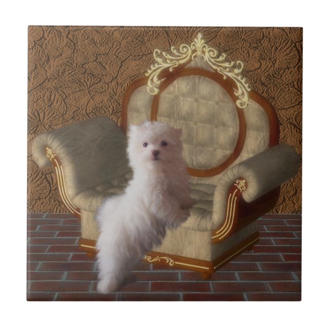 Azulejo De Cerámica Cachorros Blancos Malteses Y Perro Silla (Frente)