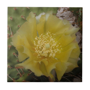 Azulejo De Cerámica Cactus Amarillo en Flor