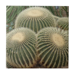 Azulejo De Cerámica Cactus Pequeño (4,25" x 4,25") Tejido de fotografí