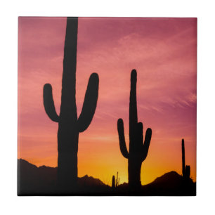 Azulejo De Cerámica Cactus saguaro al amanecer, Arizona