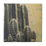 Azulejo De Cerámica Cactus verdes sobre fondo amarillo<br><div class="desc">Cactus En Fondo Amarillo Desplastado. Artista: Naomi McCavitt. ID de la imagen: 106255Z.</div>