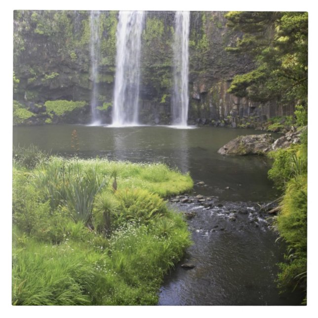 Azulejo De Cerámica Cae Whangarei, Whangarei, Northland, Nuevo 2 (Frente)