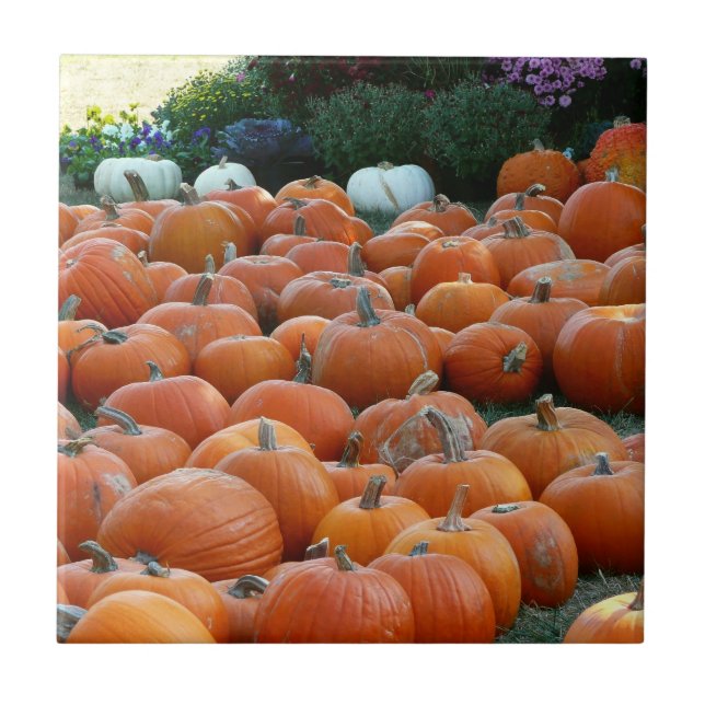 Azulejo De Cerámica Calabazas y Mamáes Fotografía de la cosecha de oto (Frente)
