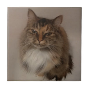 Azulejo De Cerámica Calico Cat Ceramic Tile