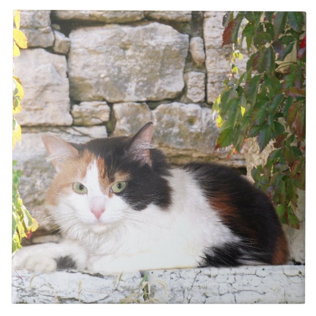 Azulejo De Cerámica Calicó en la ventana de piedra (Frente)