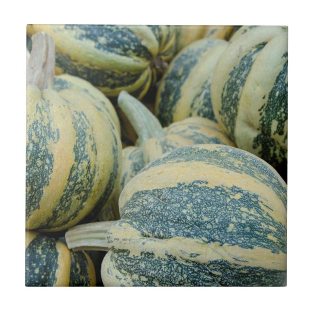 Azulejo De Cerámica  California. Cosecha Caída En California (Frente)