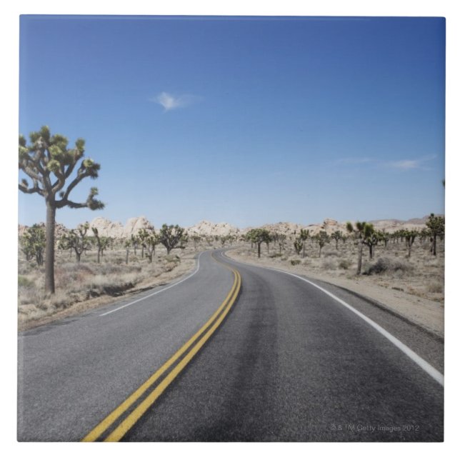 Azulejo De Cerámica calle apuesta en el medio del postre (Frente)